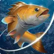 Kail Pancing MOD APK Kail Pancing MOD APK