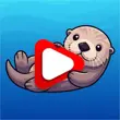 NouTube APK  NouTube APK