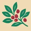 Santiago 510 APK  Santiago 510 APK